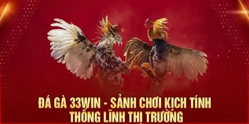 Lý Do Nên Xem Đá Gà Thomo Tại Nhà Cái 33WIN