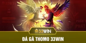 Đá gà thomo nhà cái 33win